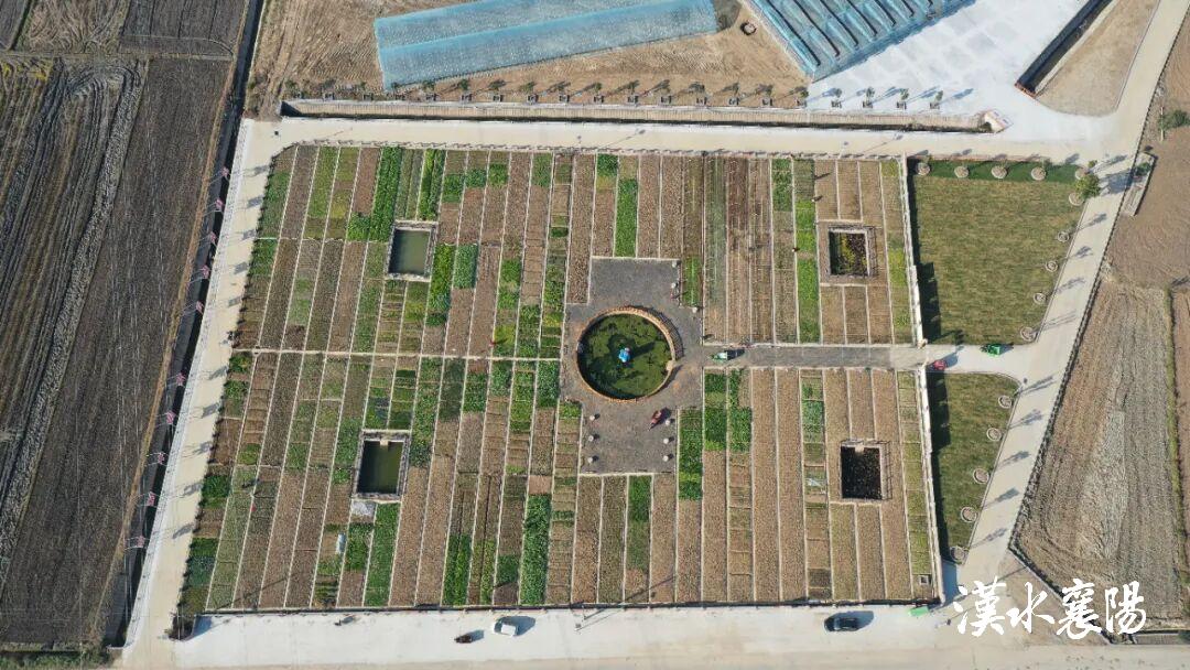 ▲宜城市民主村