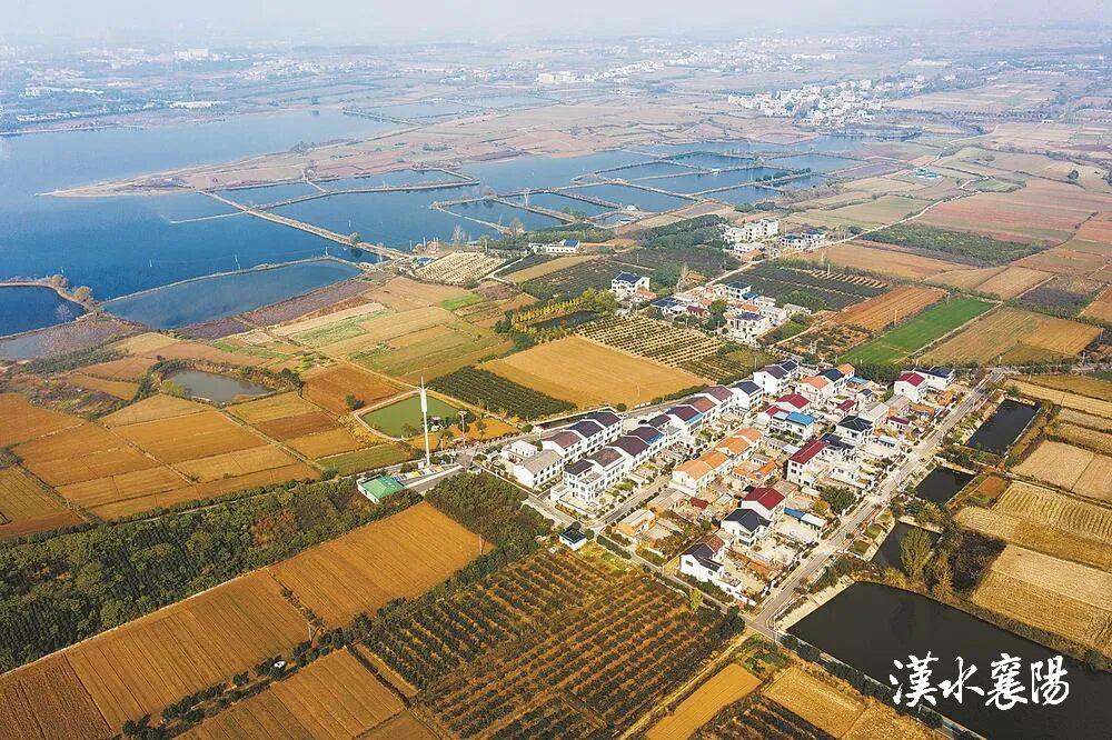 ▲枣阳市环城街道东郊村航拍