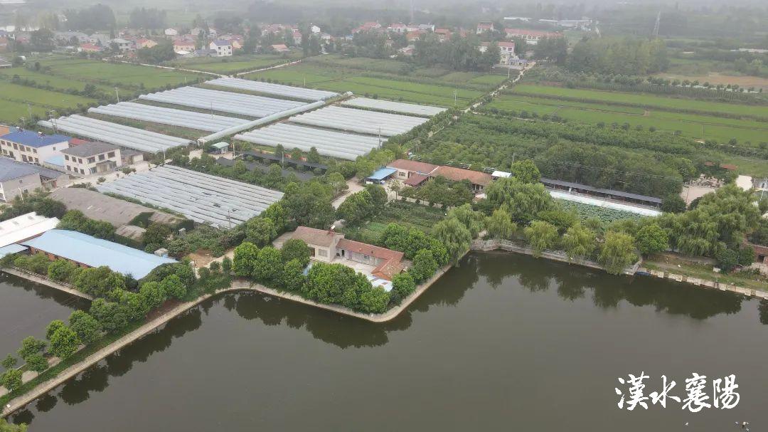 ▲南漳县九集镇九仙观村