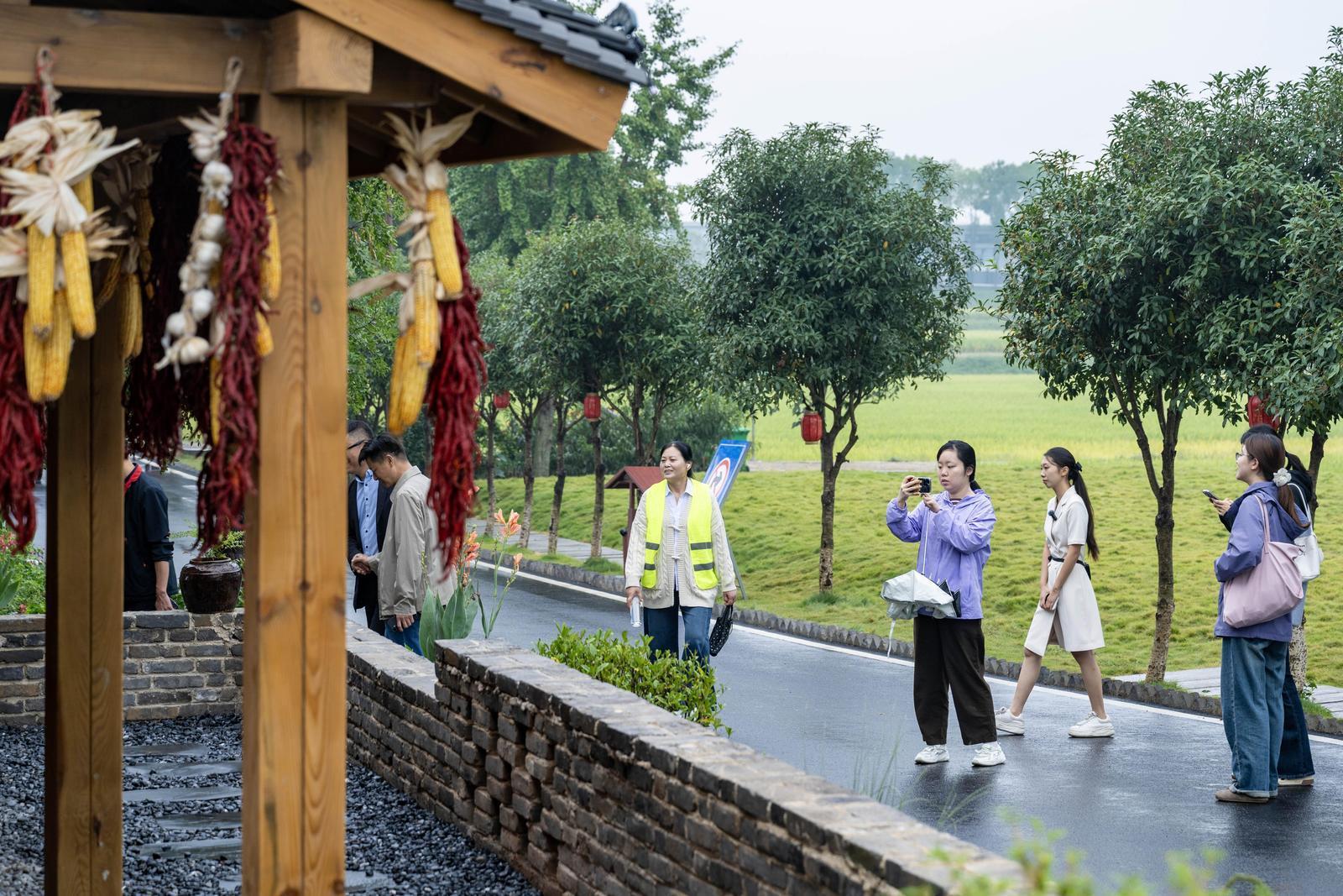 9月18日,“活力中国调研行”湖北主题采访团在枣阳市东郊村调研采访。